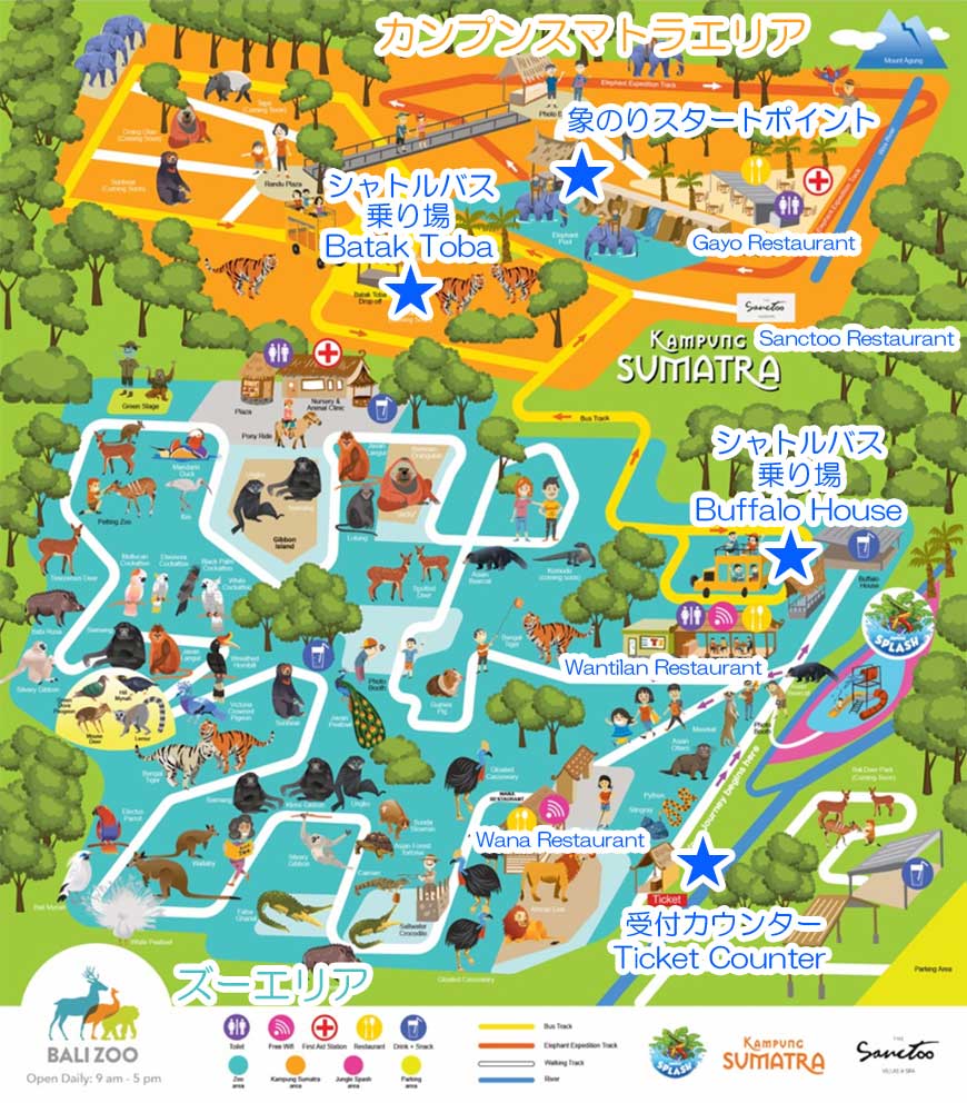 バリズー エレファントライド 20分 と動物園入場《送迎なし》 バリ姫