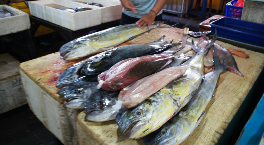 ジンバランの魚市場内に陳列された沢山のシーラ