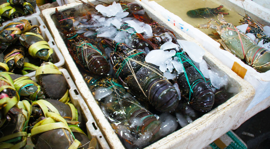 ジンバランの魚市場内に陳列された沢山の大きなエビ