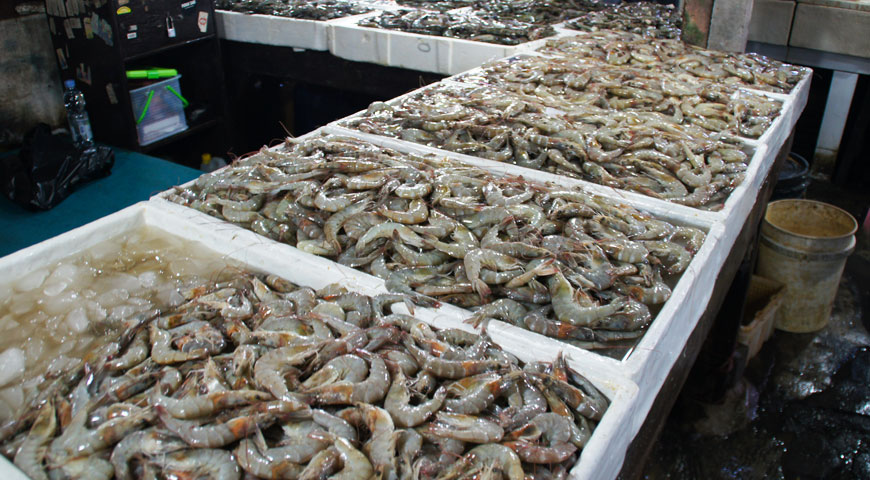 ジンバランの魚市場内に陳列された沢山の白いエビ