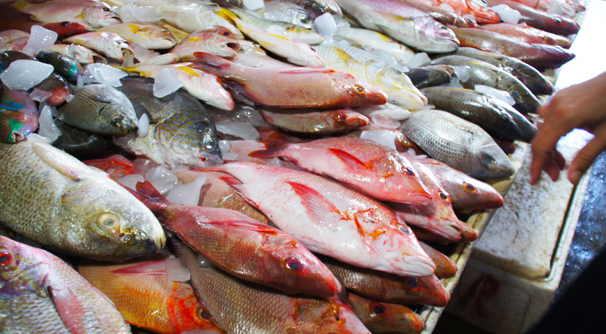 ジンバランの魚市場内に陳列された沢山の新鮮な魚