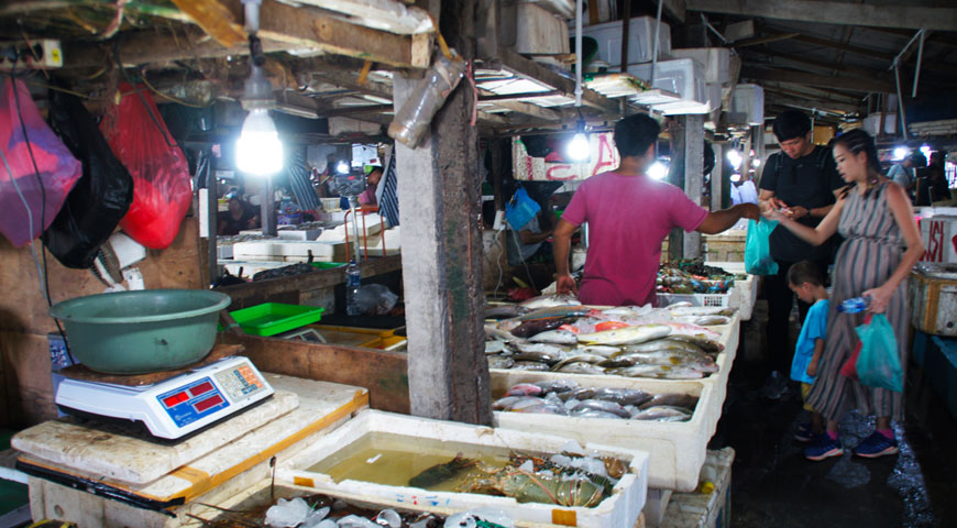 沢山の魚と買い物をする家族