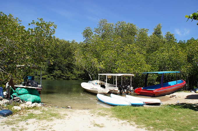 マングローブの森と川に浮かぶ小型船