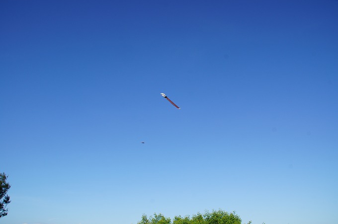 真っ青な空に上がる凧