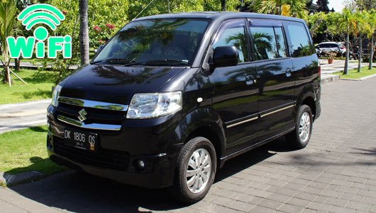 カーチャーター使用車(APV)