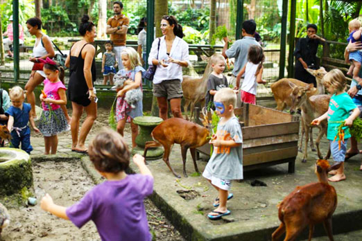 草食動物へのエサあげをする子供たち