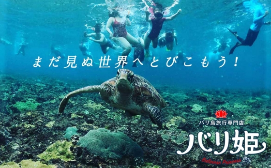 海中からサンゴいっぱいの中佇むウミガメを中心に海に一斉に飛び込むシュノーケリングを楽しむ人たちを見たショット