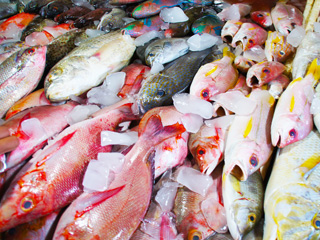 ジンバランの魚市場