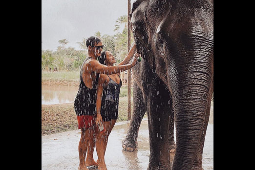 象と一緒にシャワーを浴びるカップル