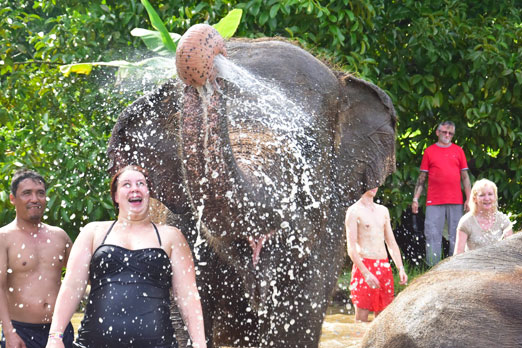 象の鼻からの水しぶきシャワーに驚く女性客