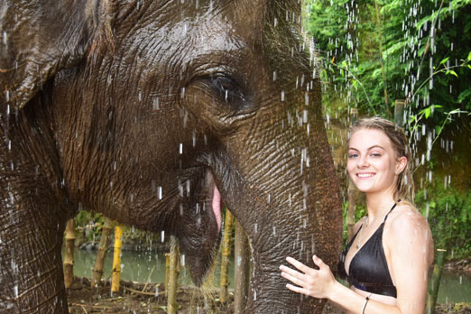 象と一緒にシャワーを浴びる笑顔の女性