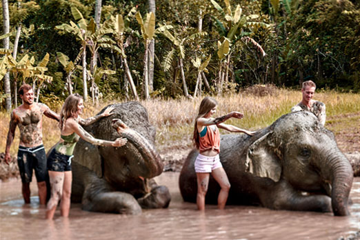 水辺で象に泥をぬるツアー参加者