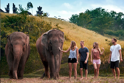 象をまじかに触れ合うツアー参加者たち