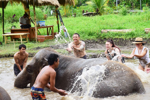 水辺で象に水をかけるツアー参加者たち