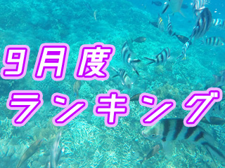 2019年9月度バリ島観光ツアー・バリ姫人気BEST 5
