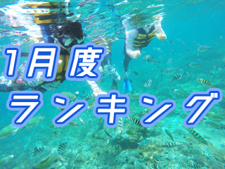 2020年1月度バリ島観光ツアー・バリ姫人気BEST 5