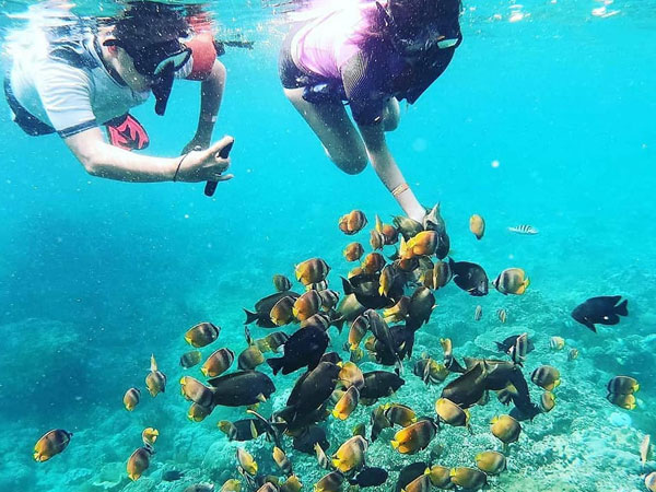 餌にカラフルな魚が寄ってくる