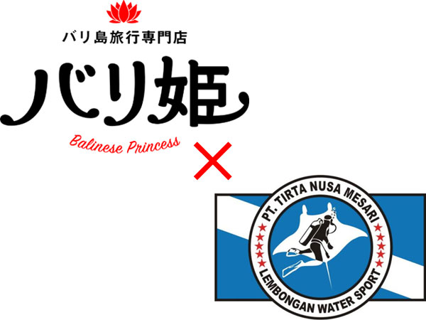 レンボンガン島・ペニダ島シュノーケリングツアー