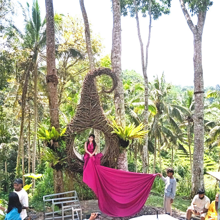 テガラランのライステラスにある鳥の巣の造形に赤いドレスを着用した女性モデルの撮影風景