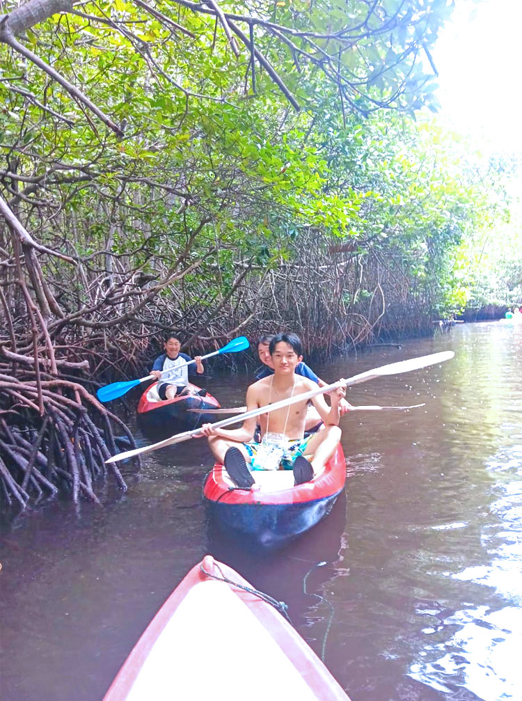 マングローブの森をカヤックで散策をする4人家族様