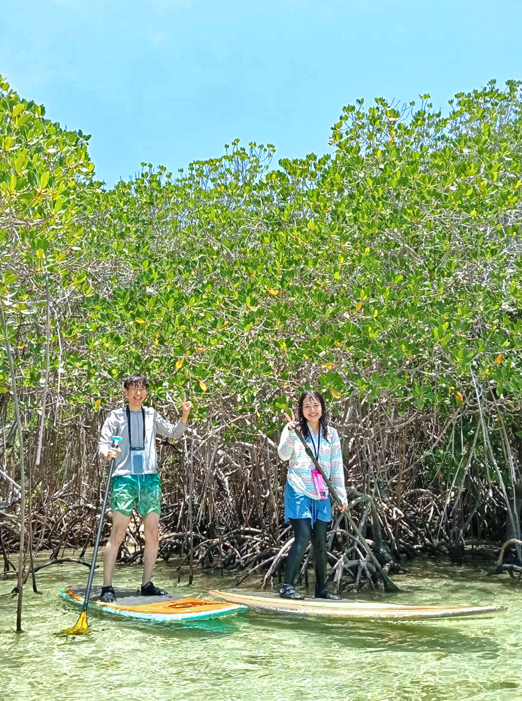 大自然のマングローブでSUPを楽しむ笑顔のカップル