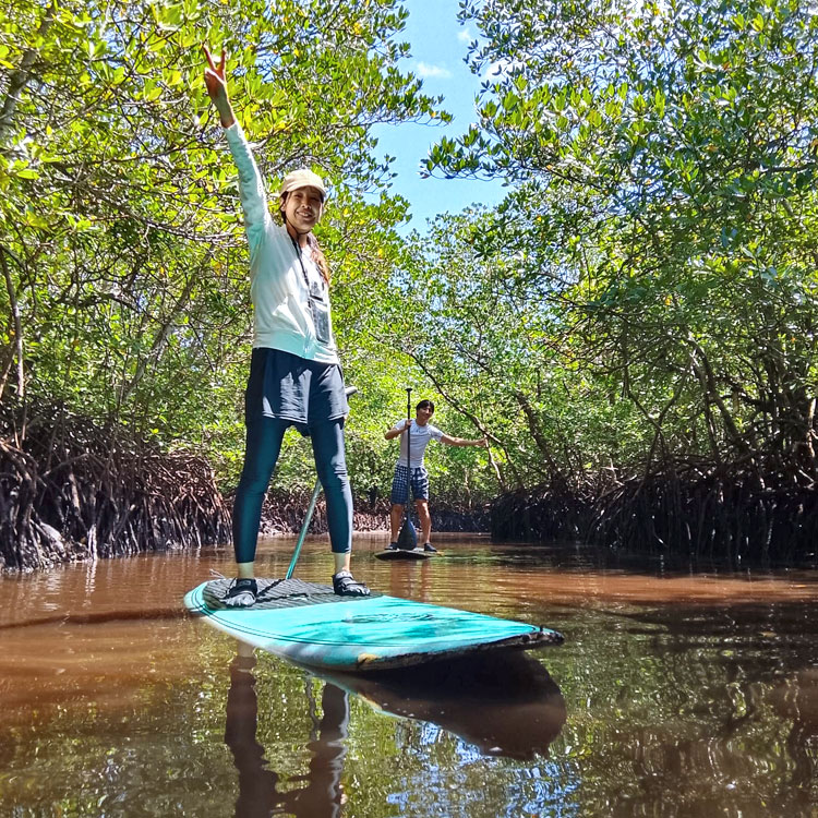 マングローブでSUPをエンジョイするカップル
