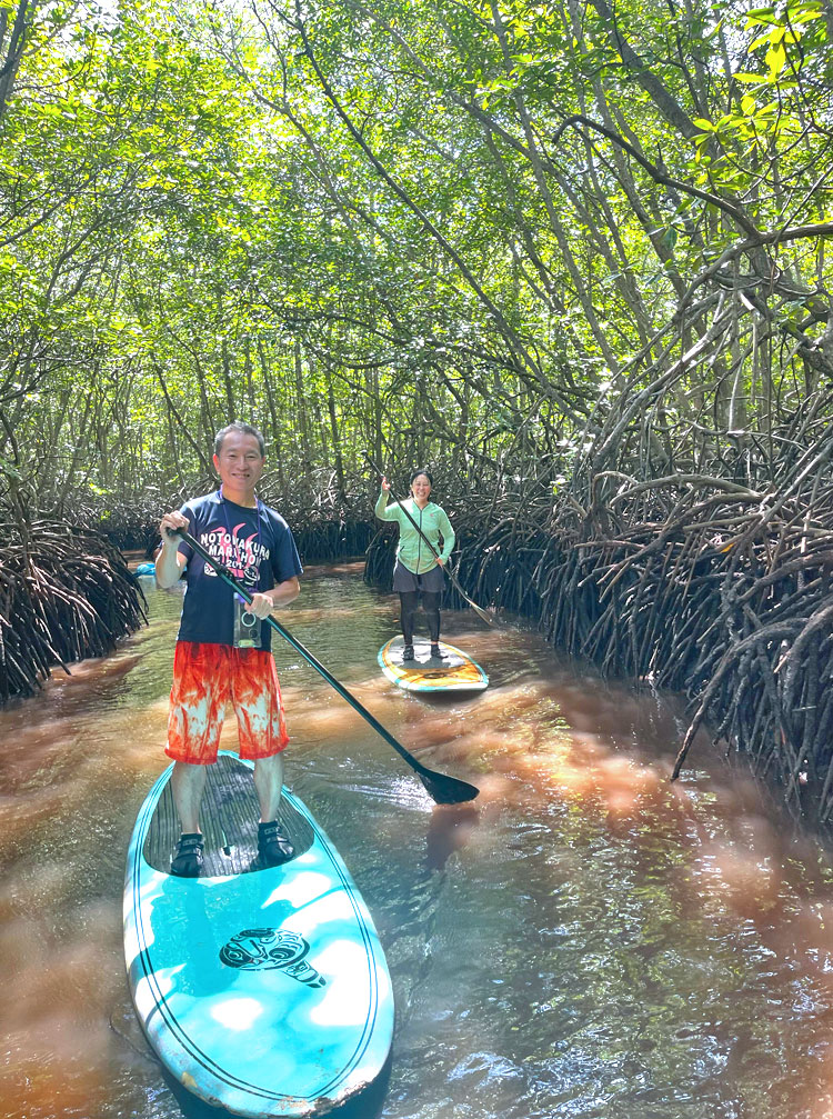 レンボンガン島のマングローブでSUPを楽しむ笑顔のご夫婦