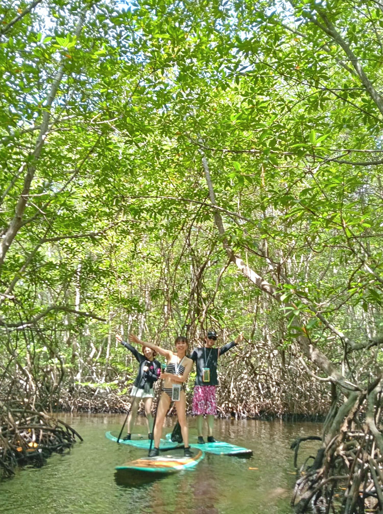 マングローブでSUPをエンジョイする男女3人組