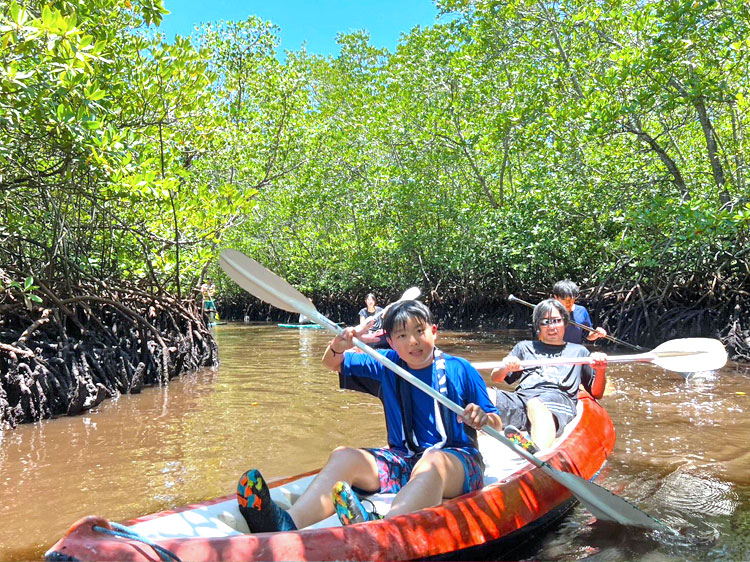 レンボンガン島のマングローブでカヤックやSUPを楽しむ親子家族様